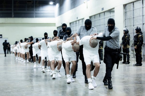 Bürgerrechtler bezweifeln, dass es sich bei allen Abgeschobenen wirklich um Bandenkriminelle handelt. - © Uncredited/El Salvador presidential press office via AP/dpa