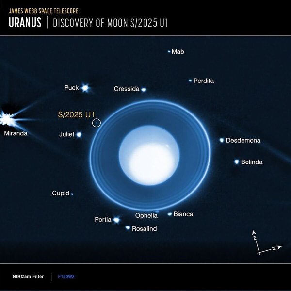 Grafik auf Basis von James-Webb-Daten: Uranus mit seinen Ringen und bekannten Monden. Eingekreist ist der neu entdeckte, nur rund zehn Kilometer große Mond S/2025 U1. - © -/NASA/dpa