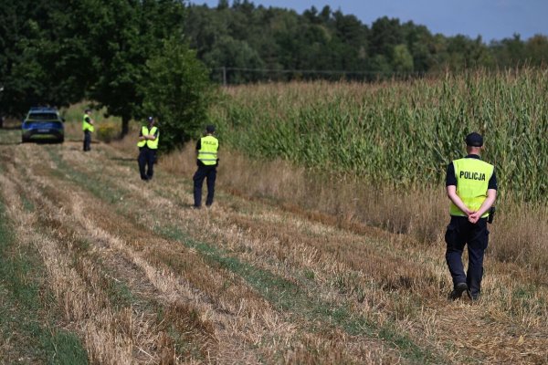 Polnische Polizisten sichern das Gebiet eines Maisfeldes in Osiny in Ostpolen, in das ein unbekanntes Flugobjekt gestürzt ist. (Foto aktuell) - © Wojtek Jargilo/PAP/dpa
