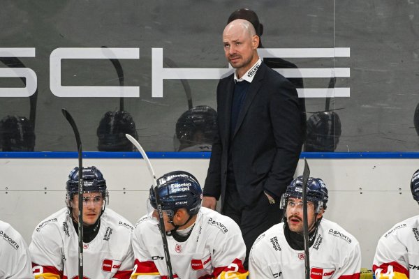 DEG-Coach Steven Reinprecht hat einen neuen Defensivspieler im Kader. - © Armin Weigel/dpa