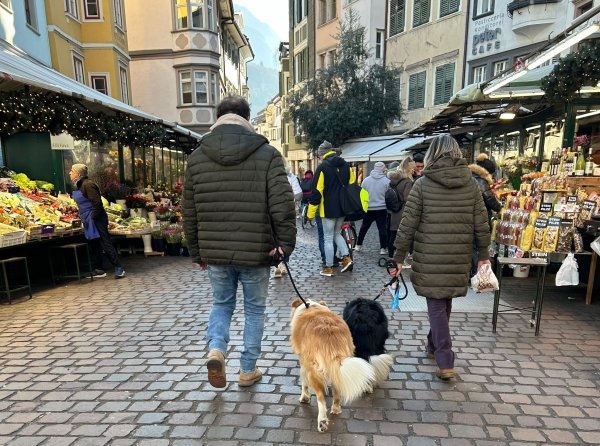Ist das Häufchen per DNA-Abgleich erstmal identifiziert, könnte das in Bozen für Hundebesitzer bald sehr teuer werden. - © Christoph Sator/dpa