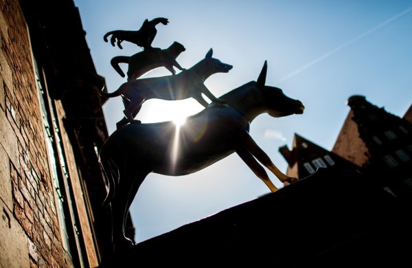 Bremer Stadtmusikanten feiern Geburtstag - © Foto: Hauke-Christian Dittrich