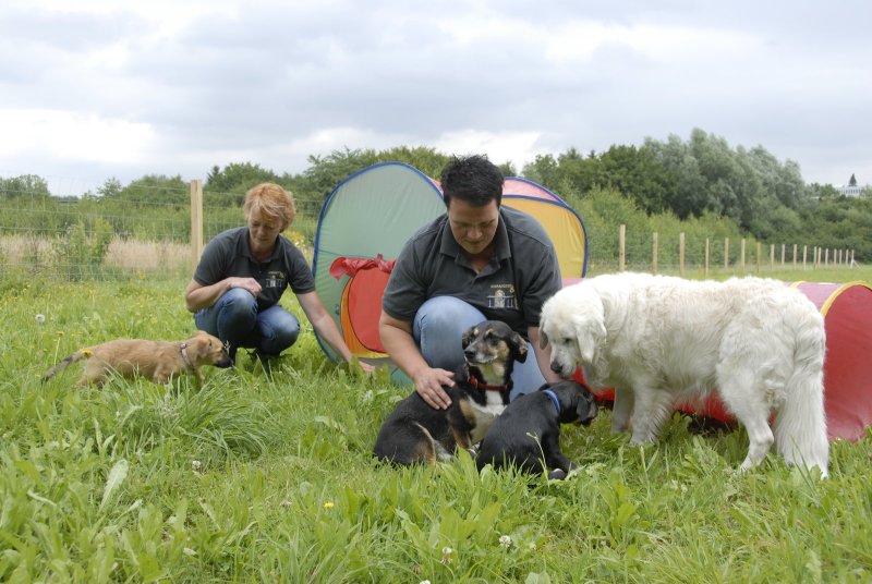 Der Verein &quot;Ausrangiert und Abgeschoben&quot; gibt Hunden eine zweite Chance
