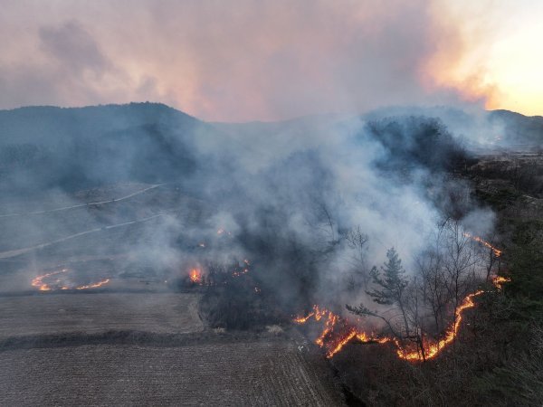 Mindestens vier Menschen sind beim Einsatz gegen Waldbrände in Südkorea ums Leben gekommen. - © Yoon Gwan-shick/Yonhap/AP/dpa