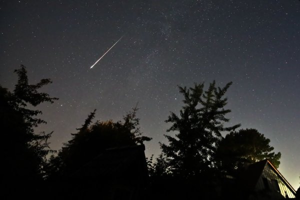 Im August gibt es viele Sternschnuppen zu sehen - die meisten in der Nacht auf Mittwoch. (Archivbild) - © Marco A. Ludwig/dpa