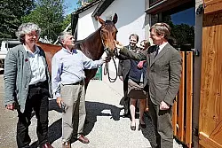 Senner-Stute Griseldis und ihre Bewunderer: Agnes Sternschulte, Karl-Ludwig Lackner, Dr. Jan Carstensen, Dr. Kirsten Bernhardt und Stephan Prinz zur Lippe (von links). - &copy; Foto: Preuss