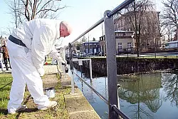 Frei zum Lustwandeln: Mit großem Aufwand ist die Allee nebst Kanal zwischen Willy-Brandt-Platz und Oberer Mühle saniert worden. Am Sonntag, 19. April, soll die Meile eingeweiht werden.Foto: koch