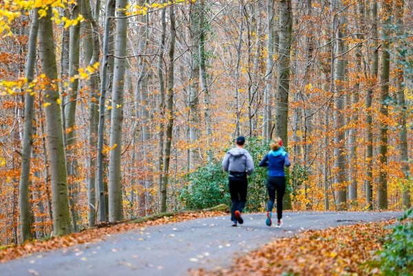 Jogger laufen durch den herbstlich gefärbten Wald in Königswinter. (Archivbild) - © Thomas Banneyer/dpa