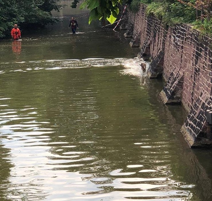 Tierrettung an der Schossgraft Bad Pyrmont - © Feuerwehr Lügde