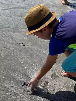 Fred hat am Strand eine Babyschildkr&ouml;te entdeckt. - &copy; K&uuml;hnen