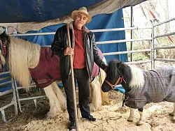 Tiere versorgen vor der Vorstellung: f&uuml;r Zirkus-Boss Toni Wagner ist die Arbeit im Stall das t&auml;glich Brot. Nachmittags steht er als Wildwest-Indianer und Jongleur zusammen mit seiner Familie im Scheinwerferlicht im Zirkusrund. - &copy; Sylvia Frevert
