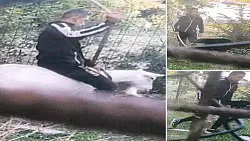 Dieser Mann setzte sich auf die Ziege und schlug auf das Tier ein - © Polizei Lippe