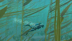 Bin ich der letzte Taucher der Welt? - &copy; Nintendo