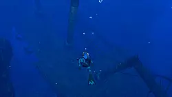 Wir entdecken nicht nur unbekannte Fischarten, sondern finden auch Sch&auml;tze und versunkene Schiffe. - &copy; Nintendo