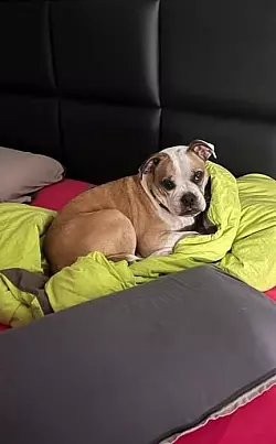 Gemütlich ist das ja schon. - © Jenny Spiess