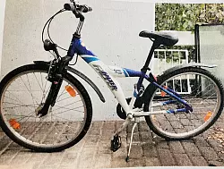 Die Polizei sucht den Eigent&uuml;mer dieses Fahrrads. - &copy; Polizei Lippe