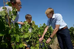 Eindr&uuml;cke von der Loire-Reise - dazu geh&ouml;rten Besuche bei Winzern. Pierre-Louis und Andrea Plat zeigen nun noch ein Mal die Fotos von ihrer Loire-Reise mit dem Fotografen Karl-Heinz Krull im August 2018. - &copy; Karl-Heinz Krull