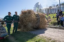 Die gestopften Räder werden auf den Gipfel des Osterberges gerollt. - © Dechenverein Lügde