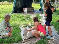Gerne lie&szlig;en sich Ziegen und andere Tiere im Sentana-Dorf streicheln. - &copy; KJK