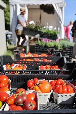 Regionaler Genuss steht im Mittelpunkt der zweit&auml;gigen Gro&szlig;veranstaltung. - &copy; LWL/Gerstendorf-Welle