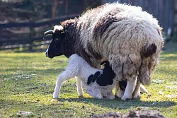 Ganz nah bei Mama - da hat man alles, was man braucht. - &copy; Stadt Bielefeld