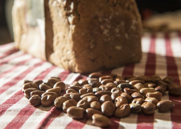 Rheinische Ackerbohne hält Brot länger frisch - © Foto: Robert Günther
