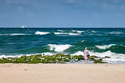 Die meisten in Nord- und Ostsee vorkommenden Quallen sind f&uuml;r den Menschen ungef&auml;hrlich. - &copy; Frank Molter/dpa