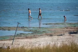 Der Kontakt mit bl&uuml;henden Blaualgen kann unangenehme Folgen haben - wie &Uuml;belkeit, Fieber oder gar Atemnot. Zu Beginn des Sommers ist das meist noch kein Problem. (Symbolbild) - &copy; Stefan Sauer/dpa