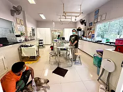 Das Wildlife Hospital von WFFT war die erste Wildtierklinik in Thailand - bis heute ist sie die modernste. - © Carola Frentzen/dpa