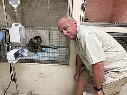 WFFT-Gründer Edwin Wiek besucht einen der Patienten im Wildlife Hospital. Der Affe hatte einen Stromschlag erlitten. - © Carola Frentzen/dpa