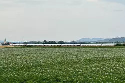 Der ICE blieb nach dem Angriff in der Nähe von Straßkirchen auf offener Strecke stehen. - © Ute Wessels/dpa