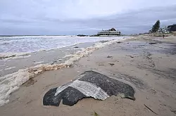 «Alfred» hat hunderte Kilometer Strand erodiert. - © Dave Hunt/AAP/dpa