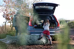 Ein Erlebnis für die ganze Familie: Den passenden Weihnachtsbaum fürs Wohnzimmer aussuchen. - © Mascha Brichta/dpa-tmn