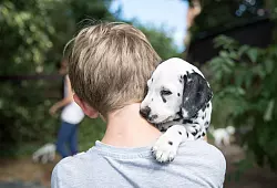 Eine starke Bindung zwischen Hund und Mensch ist die Basis für eine erfolgreiche Erziehung. - © Florian Schuh/dpa-tmn