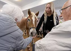 Die Bewohner k&ouml;nnen das Pferd f&uuml;ttern, streicheln und striegeln. - &copy; Boris Roessler/dpa
