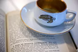 Früher kamen auch Reiherbrust oder Schildkrötensuppe auf den Tisch. - © Bernd Thissen/dpa