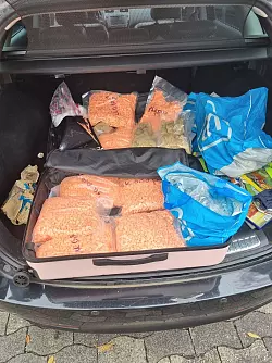 Ketamin ist eine synthetisch im Labor hergestellte Substanz. - &copy; -/Hauptzollamt Bielefeld/dpa