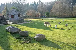 Nach Auffassung des Landgerichts Stralsund hat der Vogelpark Marlow seine Pflichten erf&uuml;llt. (Archivbild) - &copy; Stefan Sauer/dpa