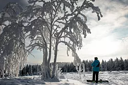 Ein Snowboarder im Skigebiet am Sonnenberg im Oberharz. - © Swen Pförtner/dpa