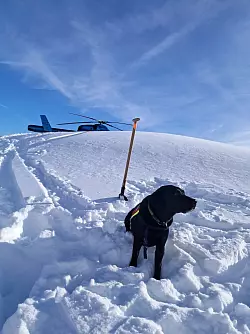 Auch Hunde waren nach dem Lawinenabgang am Finsterkopf im Einsatz. - &copy; Unbekannt/HUNDESTAFFEL BERGRETTUNG/APA/dpa