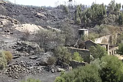 Die Zahl der Todesopfer der verheerenden Waldbrände ist in Portugal gestiegen. Historische Dörfer mussten evakuiert werden. - © Xun Wei/XinHua/dpa