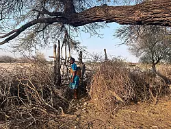 Landwirtin Rebecca Gatshele wohnt in Morematao, einem kleinen Dorf, das im Norden Botsuanas an den Makgadikgadi Pans Nationalpark grenzt. - © Kristin Palitza/dpa