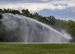 Der UFZ-D&uuml;rremonitor zeigt seit vielen Wochen verbreitet D&uuml;rre im Oberboden. - &copy; Patrick Pleul/dpa