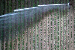 Bew&auml;ssern ist teuer - derzeit aber vielfach n&ouml;tig. - &copy; Sina Schuldt/dpa