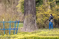 Pflanzen und Tiere leiden in Deutschland zunehmend unter der anhaltenden Trockenheit. - © Frank Hammerschmidt/dpa