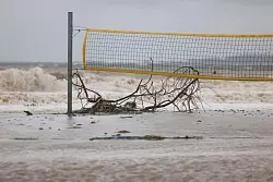 Ein entwurzelter Baum liegt unter einem Volleyballnetz am Ostseestrand von Eckernf&ouml;rde. - &copy; Frank Molter/dpa