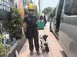 Eine Hundef&uuml;hrerin mit ihrer H&uuml;ndin Blue, die in den Tr&uuml;mmern wahrscheinlich Lebenszeichen entdeckt hatte. - &copy; Carola Frentzen/dpa