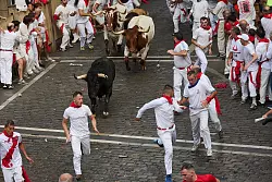 An der gewagten Mutprobe nehmen vor allem junge M&auml;nner teil. - &copy; Miguel Oses/AP/dpa