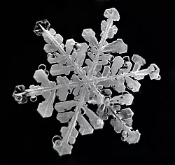 Schneeflocken haben sehr feine Strukturen. - &copy; Hoffmann/Cryosity/dpa