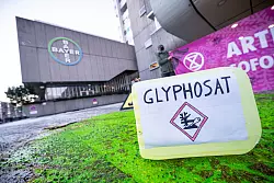 Ein Plastikcontainer mit der Aufschrift "Glyphosat" bei einer Protestaktion vor dem Eingang des Chemiekonzerns Bayer. (Archivbild) - © Fabian Sommer/dpa